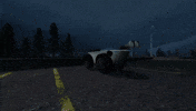 Racing Poptart GIF