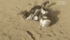 mars GIF by National Geographic Channel
