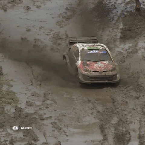 Resisting Monster Truck GIF by FIA World Rally Championship