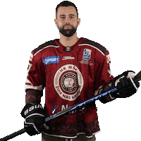 hkmskziar gabri radovan gabri radovangabri Sticker