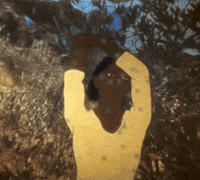 Musica Catalana Forest GIF by Guillem Gisbert