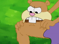 season 5 episode 10 GIF by SpongeBob SquarePants
