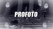 GIF by Profoto
