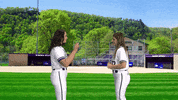 Warriors Softball GIF by WinonaStateATH