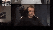 keepitliberalDE discord offline nils zoom call GIF
