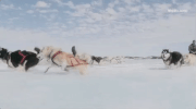 viceland GIF by Dead Set on Life