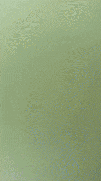 Godzilla Plushie GIF by Youtooz