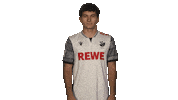 Alex Dave Sticker by Bundesliga