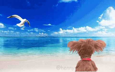 hjb8860 giphygifmaker giphyattribution GIF