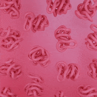 Philbertopia animation pink 3d satisfying GIF