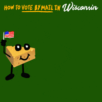 Register To Vote Election 2020 GIF by INTO ACTION