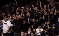 Press Conference Sport GIF by UFC