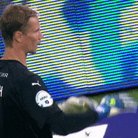 Football Sport GIF by FC Dynamo Moscow