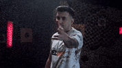 Cs2 Xantares GIF by BLAST