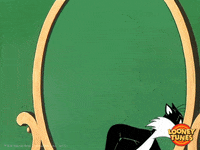 disappointed black friday GIF by Looney Tunes