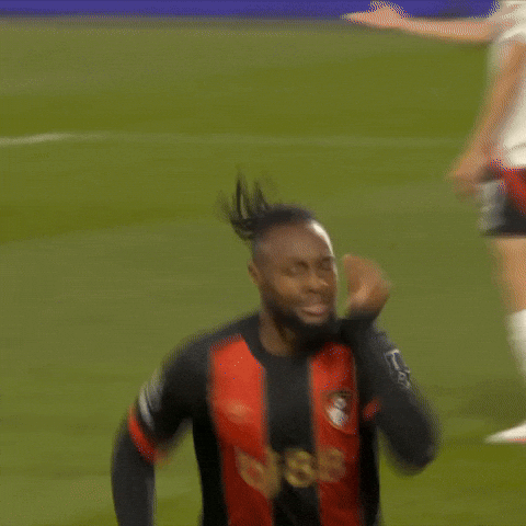 Happy Premier League GIF by AFC Bournemouth