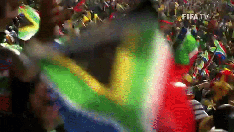 Celebrating South Africa GIF by FIFA
