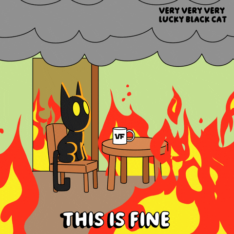 Burning Black Cat GIF by VeeFriends