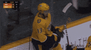 happy ice hockey GIF by NHL
