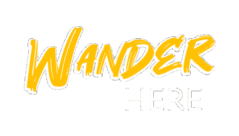 Travel Adventure Sticker by South African Tourism