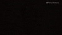 Holiday festive motion visual pack transitions