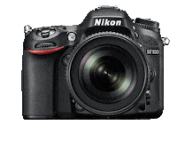 Nikon Nikoninstabadge Sticker by NikonIndia