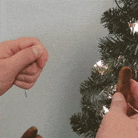christmas tree GIF by Lance Ford
