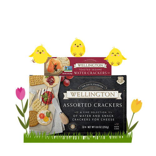 Spring Season Sticker by Wellington Crackers