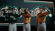 Ndsu Baseball GIF by NDSU Athletics