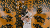 Baseball Bison GIF by NDSU Athletics