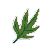 Leaf Vert Sticker by LesHallesDeLaJonction
