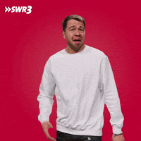 Stop Mimi GIF by SWR3
