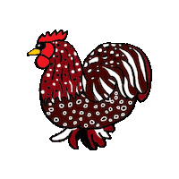 Chickens Sticker