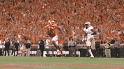 College Football GIF by Clemson Tigers