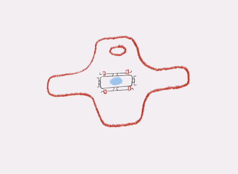 kamakshiarora giphyupload GIF