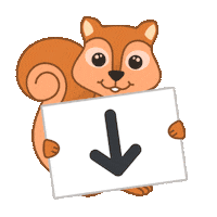 Arrows College Application Sticker by Scoir