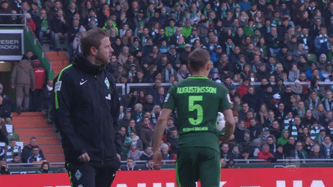 eintracht frankfurt bundesliga GIF
