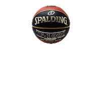 Spalding_Brasil bola basquete oba spalding Sticker