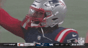 New England Patriots Football GIF by NFL