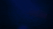 GainesvilleHS gvhs gainesvillehs GIF