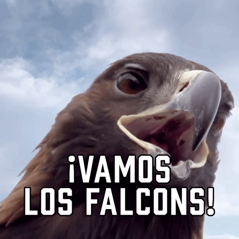 ¡Vamos Los Falcons!