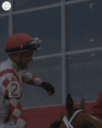 Right Now Point GIF by World Horse Racing