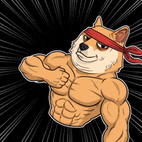Flexing Shiba Inu GIF by Doge Pound