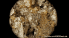 GIF by KQEDScience