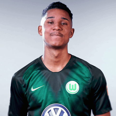 Felix Uduokhai Football GIF by VfL Wolfsburg