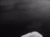 Oldhollywood GIF by English National Ballet