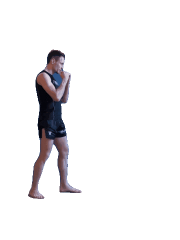 lesakfightteam giphyupload mma muaythai k1 Sticker