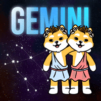 Zodiac Sign Crypto GIF by Dogelon Mars