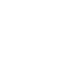 Cat Sticker