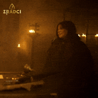 Zradci GIF by prima+